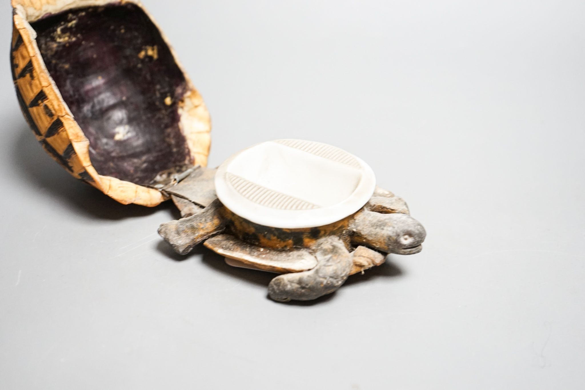 A tortoise carapace inkwell, 14cm